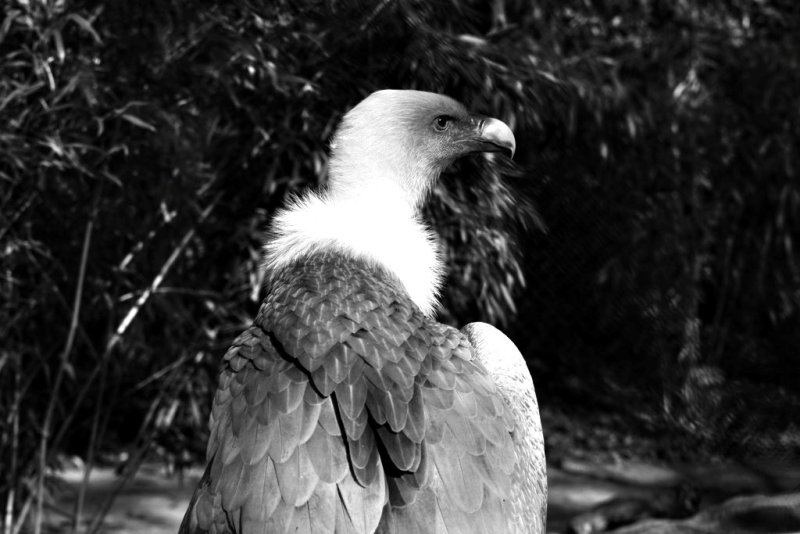 [Bild: IMG_2413.JPG]