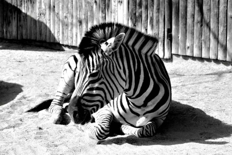 [Bild: IMG_2701.JPG]