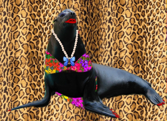 [Bild: Topmodell.jpg]